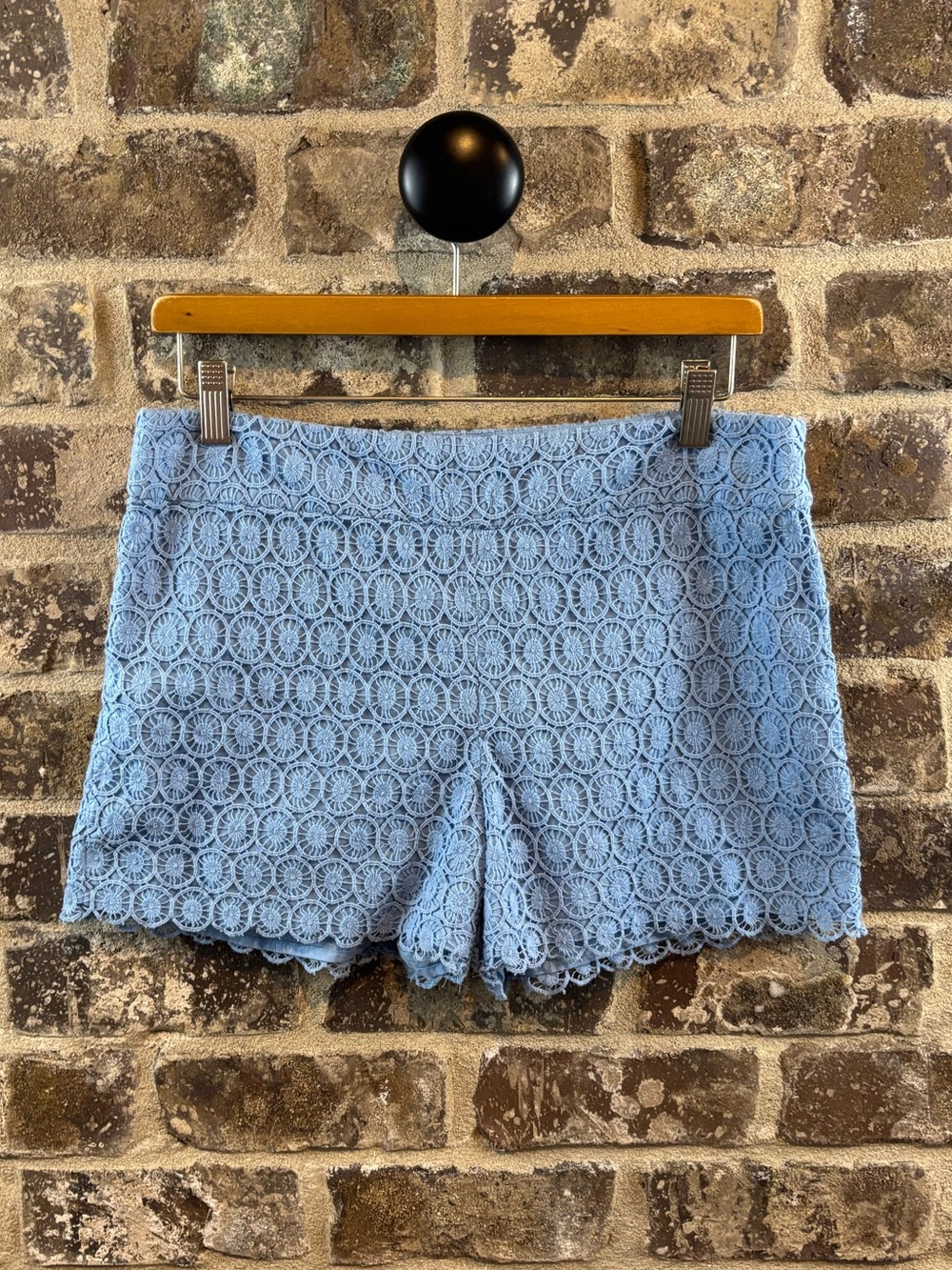 Loft Lace Crochet Women's Shorts - Light Blue